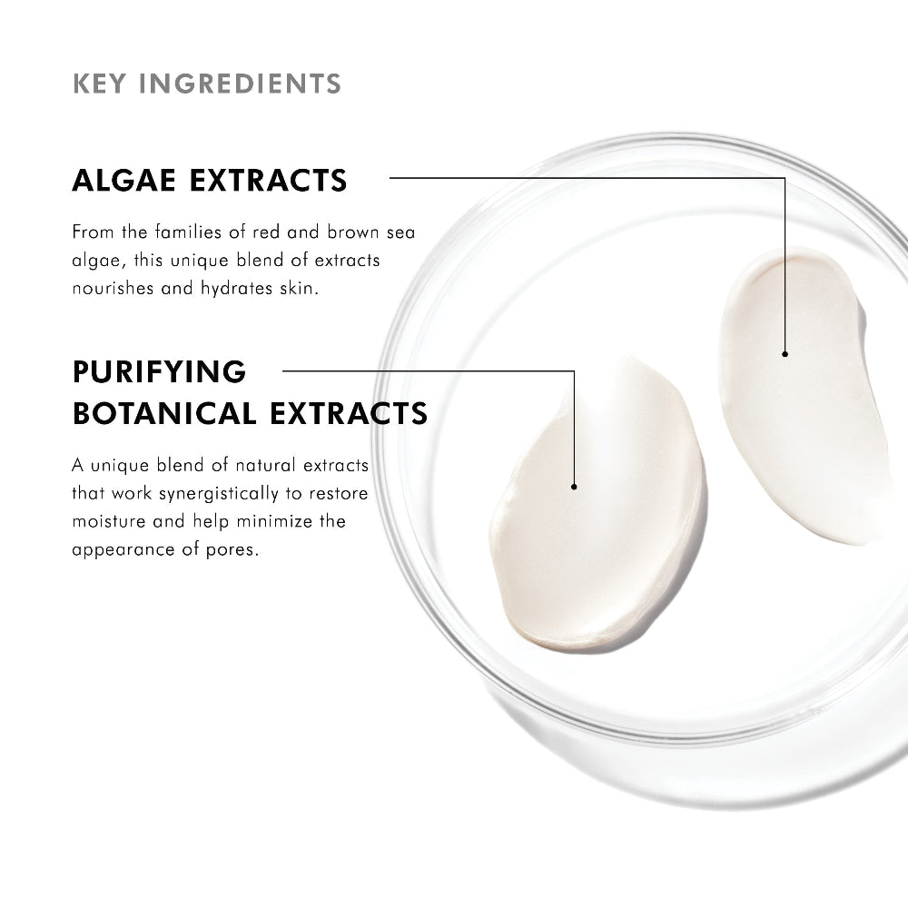 SkinCeuticals Daily Moisture key ingredients with text about algae extracts and purifying botanical extracts on a white background.