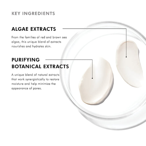 SkinCeuticals Daily Moisture key ingredients with text about algae extracts and purifying botanical extracts on a white background.